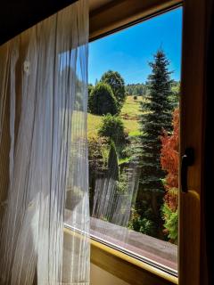 Apartament Anielski E.D. Angelo - Duszniki Zdrój - 3