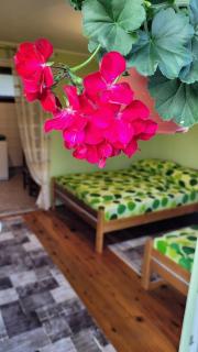 Apartman Panorama - Mokra Gora - 6