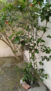 Maison Moulay! - Moulay Bousselham - 1