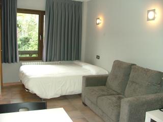 Aparthotel El Serch - Andorra la Vella - 6