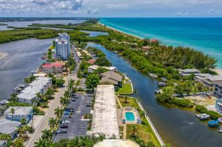 Turtle Bay Beauty - Sarasota - 4