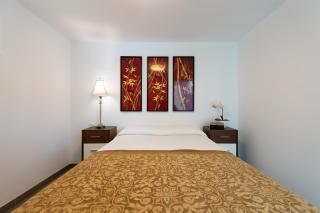 Holidays & Health in Finca Oasis - APART 6 - San Roque - 8