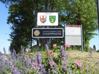 Gîte indépendant avec SPA, jardin, terrain de pétanque, proche vignoble du Champagne à Colombey - FR-1-611-45 - Colombey-les-deux-Églises - 6