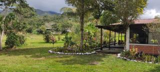 Selva Mayo - Moyobamba - 8