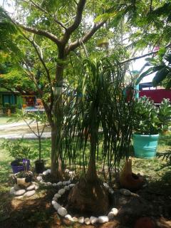 Hacienda San Miguel - Tlayacapan - 1