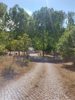 Bungalow Sobre Águas Camping - Bragança - 5