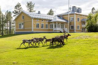 House of Northern Senses - 0