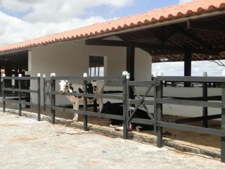 Flat Monte Castelo em Gravata PE - 3