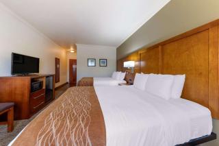 Comfort Inn near University - Huntsville - 1