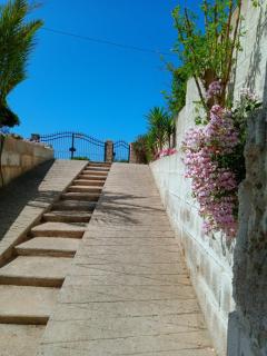 Villa 20 m.dal mare - Torre Vado - 8