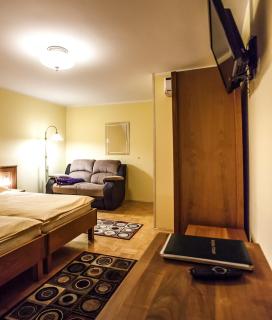 Bed & Breakfast Šilak - Ptuj - 9