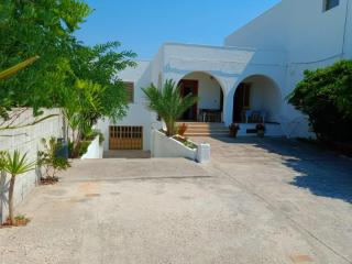 Villa 20 m.dal mare - Torre Vado - 2