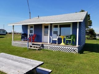 Blue Spruces Cottages - 9