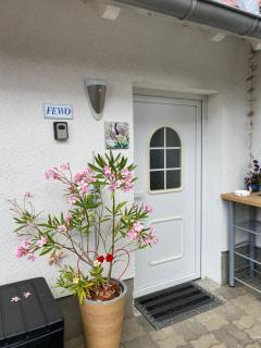 Ott‘s FEWO - Gnevsdorf - 1