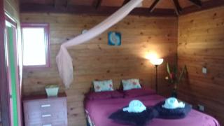 3 Rivers Eco Lodge - Rosalie - 5