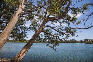 Colonial Tweed Holiday & Home Park - Tweed Heads - 4