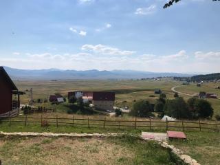Lasica - Žabljak - 1