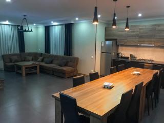 Barbiquee's Loft • Bakuriani - Bakuriani - 7