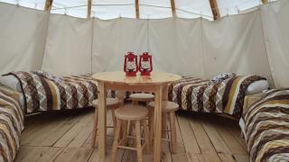 Glamping Wild Nature Bałtów - Bałtów - 0
