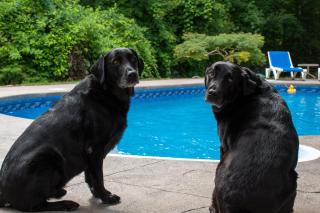 Upper Canada Coach House - 7