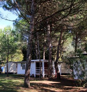 Camping Ca' Savio - Cavallino-Treporti - 8