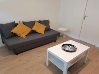 Belle Maison 12p 6 couchages TOURS CENTRE avec jardin - Tours - 4
