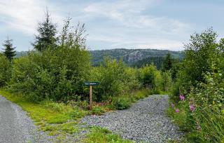 1 Bedroom Amazing Home In Lyngdal - Lyngdal - 4