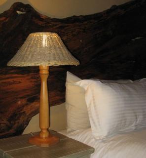 Ascot Bush Lodge - Pietermaritzburg - 2