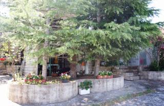Apartments with a parking space Murter - 5103 - Betina - 4
