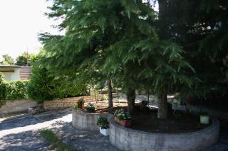 Apartments with a parking space Murter - 5102 - Betina - 3