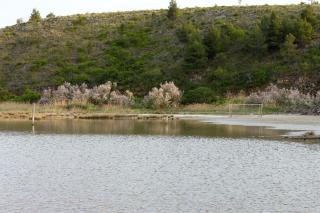 Family-friendly apartments with swimming pool Podgradina, Novigrad - 6198 - 6