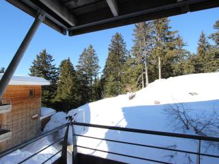 Charmant 2 pièces proche pistes avec balcon et animaux admis - FR-1-549-98 - Chamrousse - 4