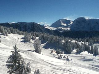 Charmant 2 pièces proche pistes avec balcon et animaux admis - FR-1-549-98 - Chamrousse - 1