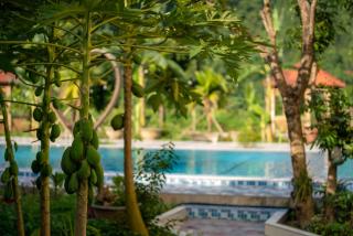 Tan Dinh Farmstay - Ninh Binh - 1