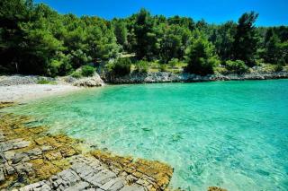 Family friendly house with a swimming pool Cove Koramaslinova - Koromaslinova, Brac - 15479 - Milna - 6