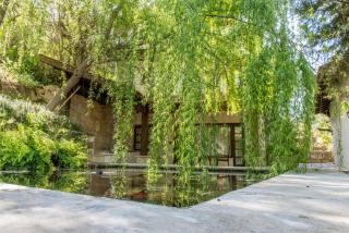 Secret Forest - Wellness Retreat & Healing Spa - Miliou - 6