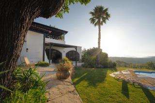 Suite Swimming Pool Quinta da Eira 140 years old - Loulé - 7