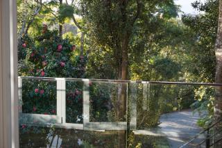 Torbay Tree Tops - Auckland - 0