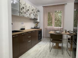 Central Alexa Apartament - Bacău - 9
