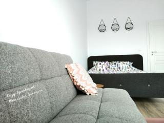 Cozy Apartment Narciselor Suceava - Ipoteşti - 6