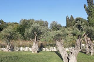 Stablo Residence - Kanálion - 4