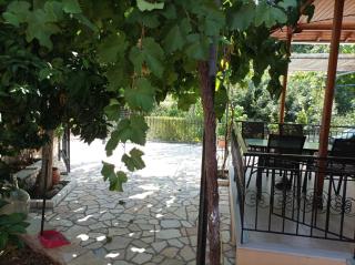Calm house in Sivros village, Lefkada - Sívros - 5