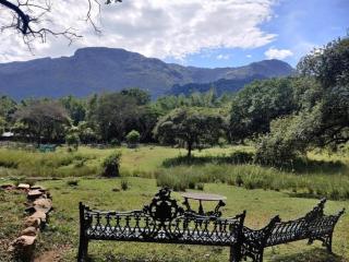 Jungle Hut Resort - 2