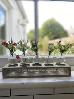 Fermaine, 50m from sea, garden, dogs, town centre - 5