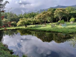 Jungle Hut Resort - 1