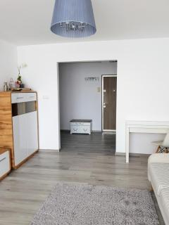 Alexa Apartament - Târgu-Mureş - 2