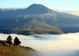 Akasha Mountain Retreat, new location - Heidelberg - 6