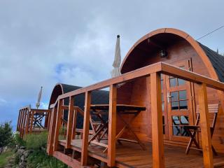 The tiny black bird - 6