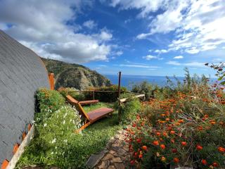 The tiny black bird - 1