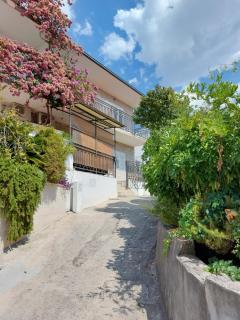 Apartmani Luka - Baška Voda - 0
